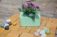 Plant Holder
