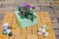 Plant Holder