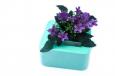 Plant Holder